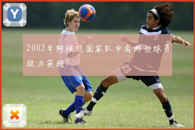 2002年阿根廷国家队中有哪些球员效力英超？