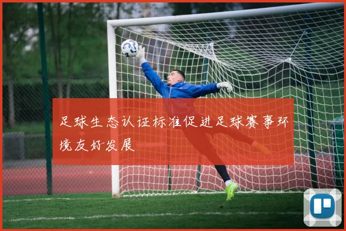 足球生态认证标准促进足球赛事环境友好发展