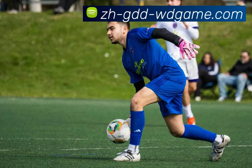 问鼎娱乐平台生态图