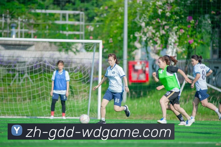 问鼎娱乐APP 封面图